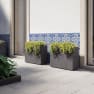 Jardinera alta de plástico Artevasi antracita Sydney con reserva