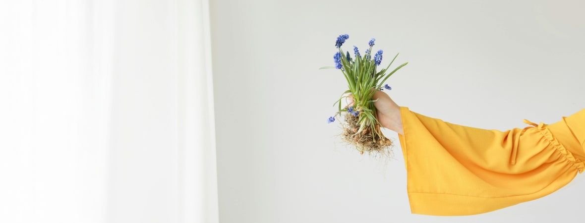 Preventa de Bulbos de primavera