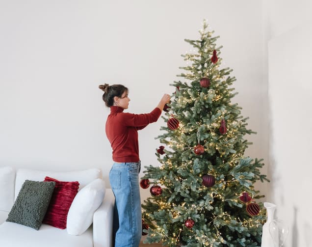 Descubre los productos de este look