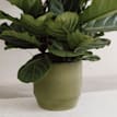 Maceta de Interior Nola verde Ø16 cm