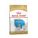 Royal canin bullgod frances junior 3 kg