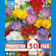 Bulbos de Freesia simple mix colores 30 unidades