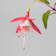 Fuchsia (Pendientes de la reina) Ø14 cm
