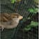 Malla antipajaros 4x5 m
