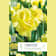 Bulbos de Narcissus 'Yellow Cheerfulness' 5 unidades