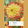 Bulbos de Dahlia 'Isidora' 1 unidad