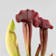 Sarracenia sp. Ø6 cm
