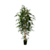 Árbol de Ficus nitida verde Artificial 150 cm
