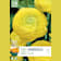 Bulbos de Ranunculus asiaticus 'Aviv Yellow' 10 unidades