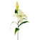 Vara lilium artificial Blanco