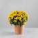 Crisantemo de Bola Amarillo Ø15 cm