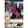 Bulbos de Tulipán gesneriana 'Black Parrot' 15 unidades
