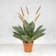 Planta Artificial Agave con Flores Naranjas 90x90x120 cm