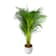 Areca Ø24 cm