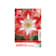 Bulbos de Amaryllis 'Minerva' 1 unidad