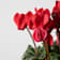 Cyclamen 'Super Serie XL' rojo Ø15 cm