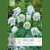 Bulbos de Fritillaria meleagris 'Alba' 6 unidades