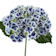 Hortensia de Interior azul Ø14 cm