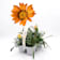 Gazania rigens ØPack 6 uds