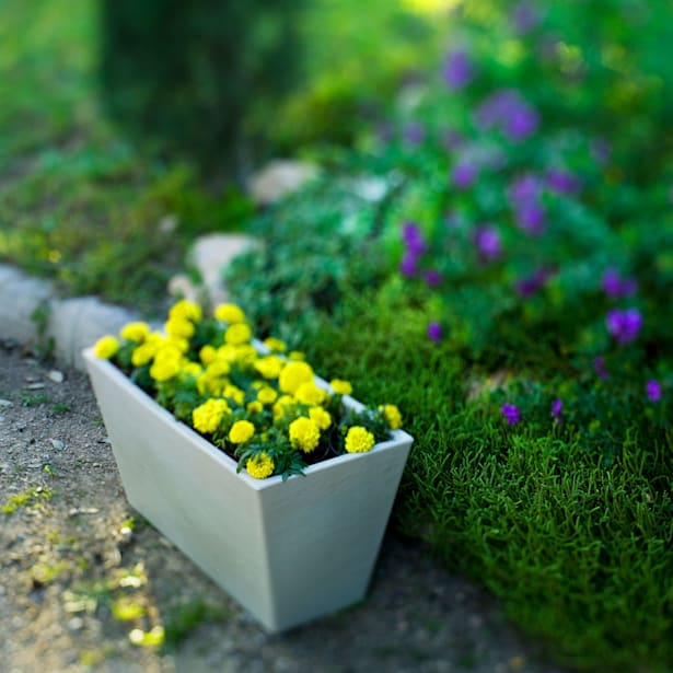 Jardinera de Resina Jazmin Blanco - New Garden