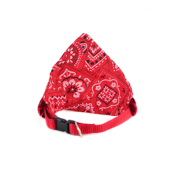 Collar pañuelo perro rojo