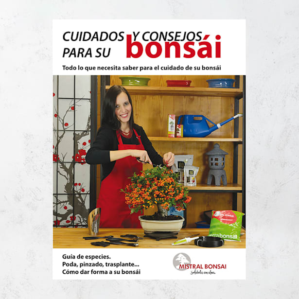 Guía cuidados y consejos bonsái