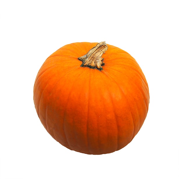 Calabaza natural hallowen gigante