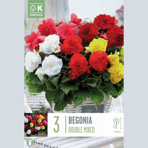 Bulbos Begonia Doble Mix Colores 3uds