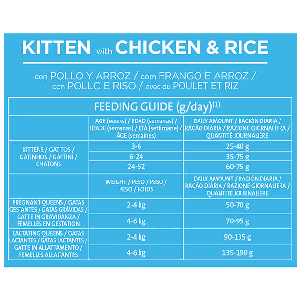 Libra kitten de pollo y arroz