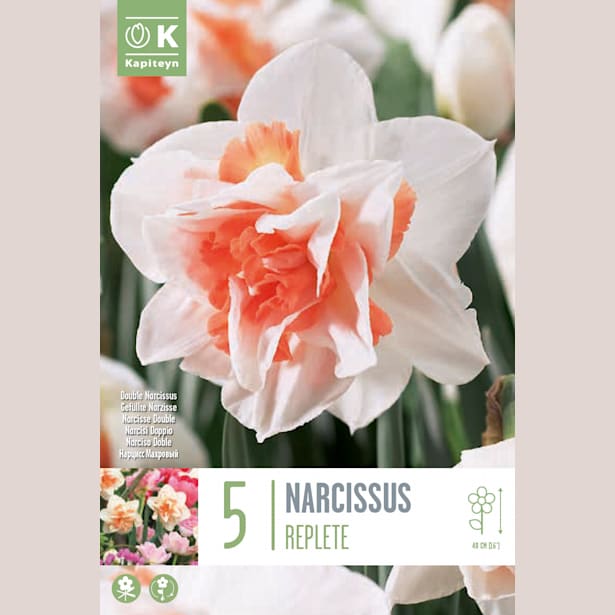 Bolsa 5 bulbos narcisos double replete