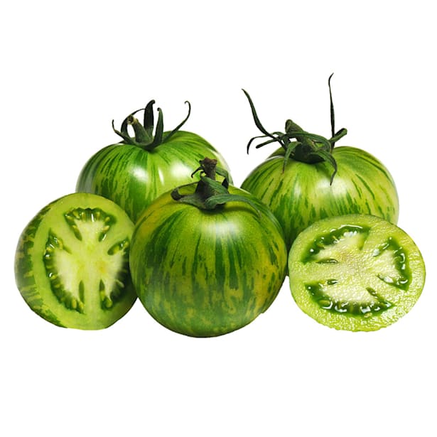 Tomate green zebra eco