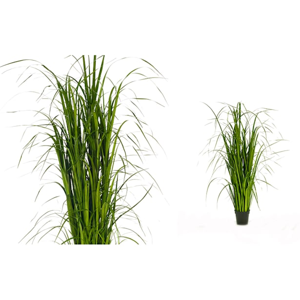 Planta onion grass artificial