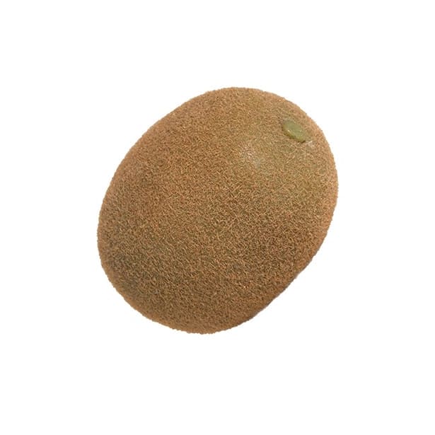 Kiwi artificial