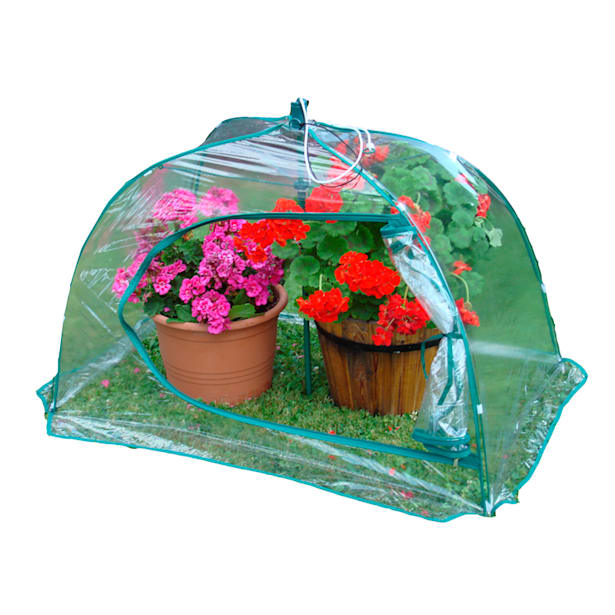 Protector plantas paraguas
