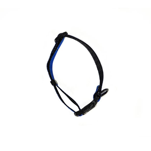 Collar perro basic azul