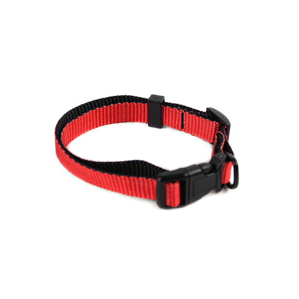 Collar perro basic rojo