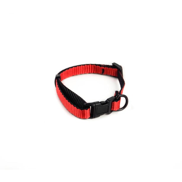 Collar perro basic rojo