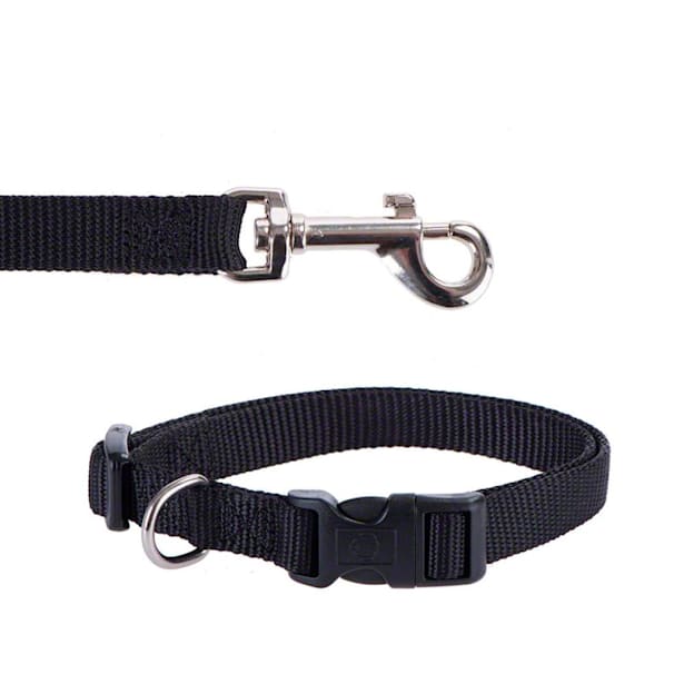 Collar perro basic negro