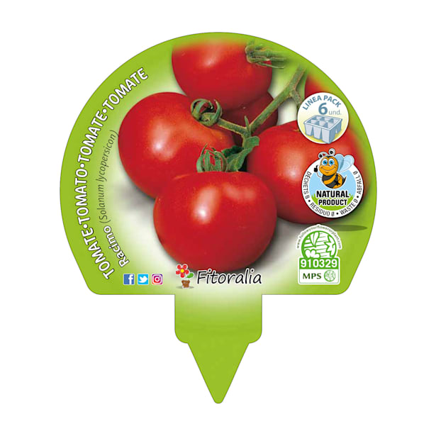 Tomate racimo - Pack de 6 plantas de huerto