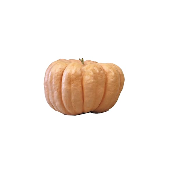 Calabaza de Halloween natural