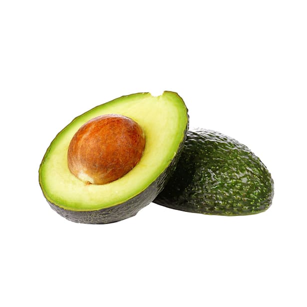 Aguacate (persea americana)