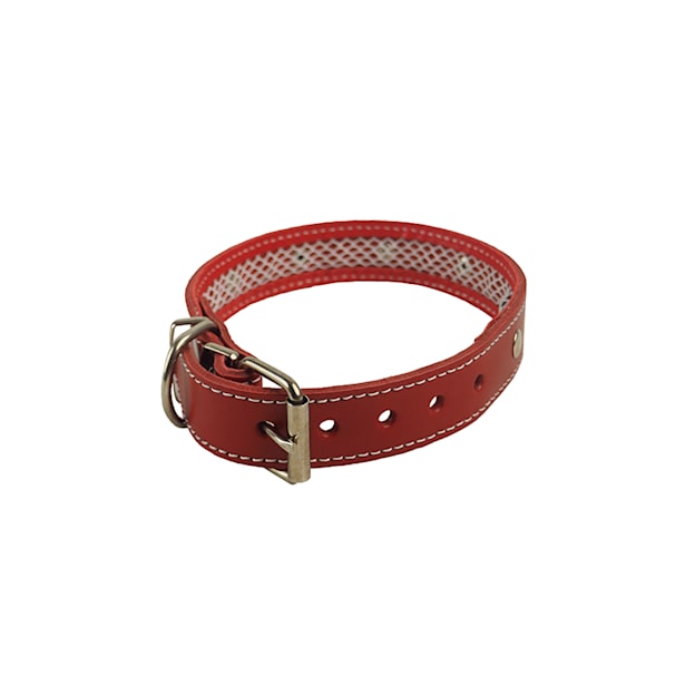 Collar cuero perro - 50x3cm