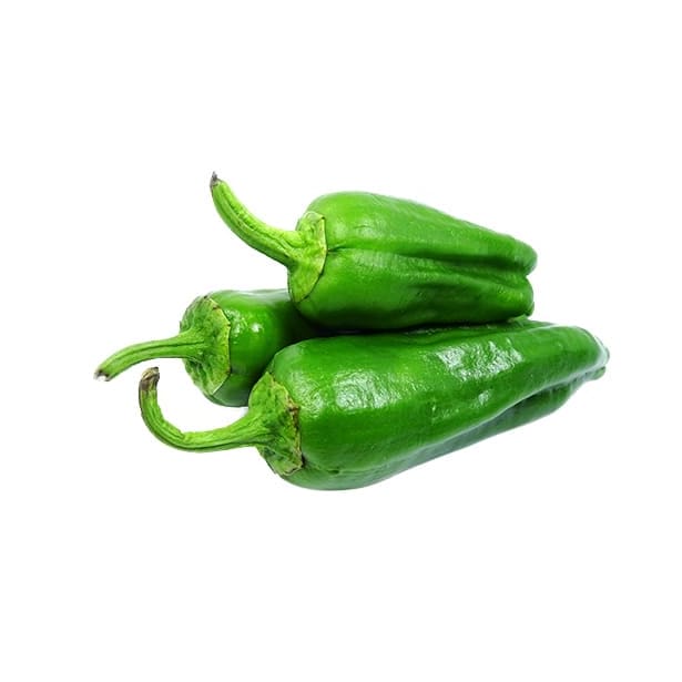 Pimiento padron dulce - Planta de huerto