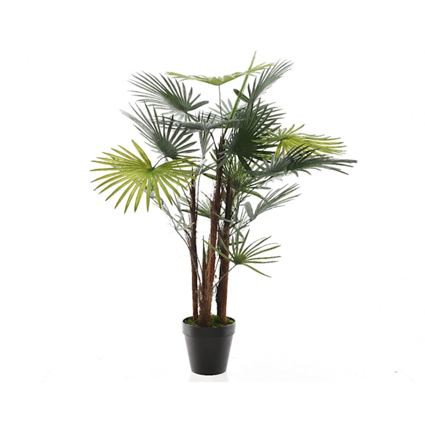 Palmera excelsa artificial