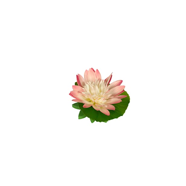 Nenufar flotante artificial rosa - 11cm