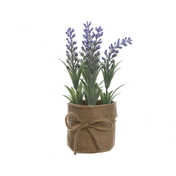 Maceta saco lavanda