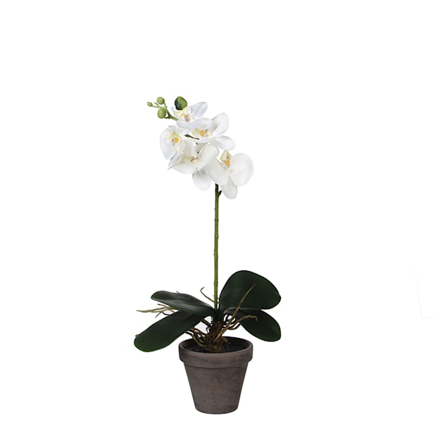 Maceta orquídea artificial blanca - 11.5x48cm