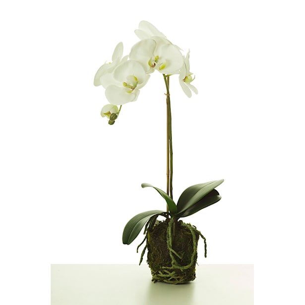 Orquídea artificial con raices