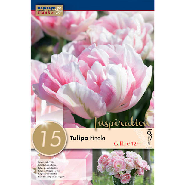 Bolsa 15 tulipanes double finola