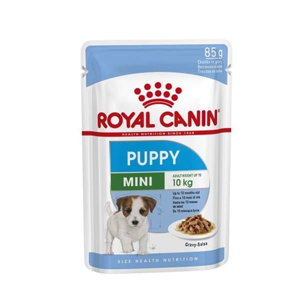 Royal canin alimento húmedo ageing mini